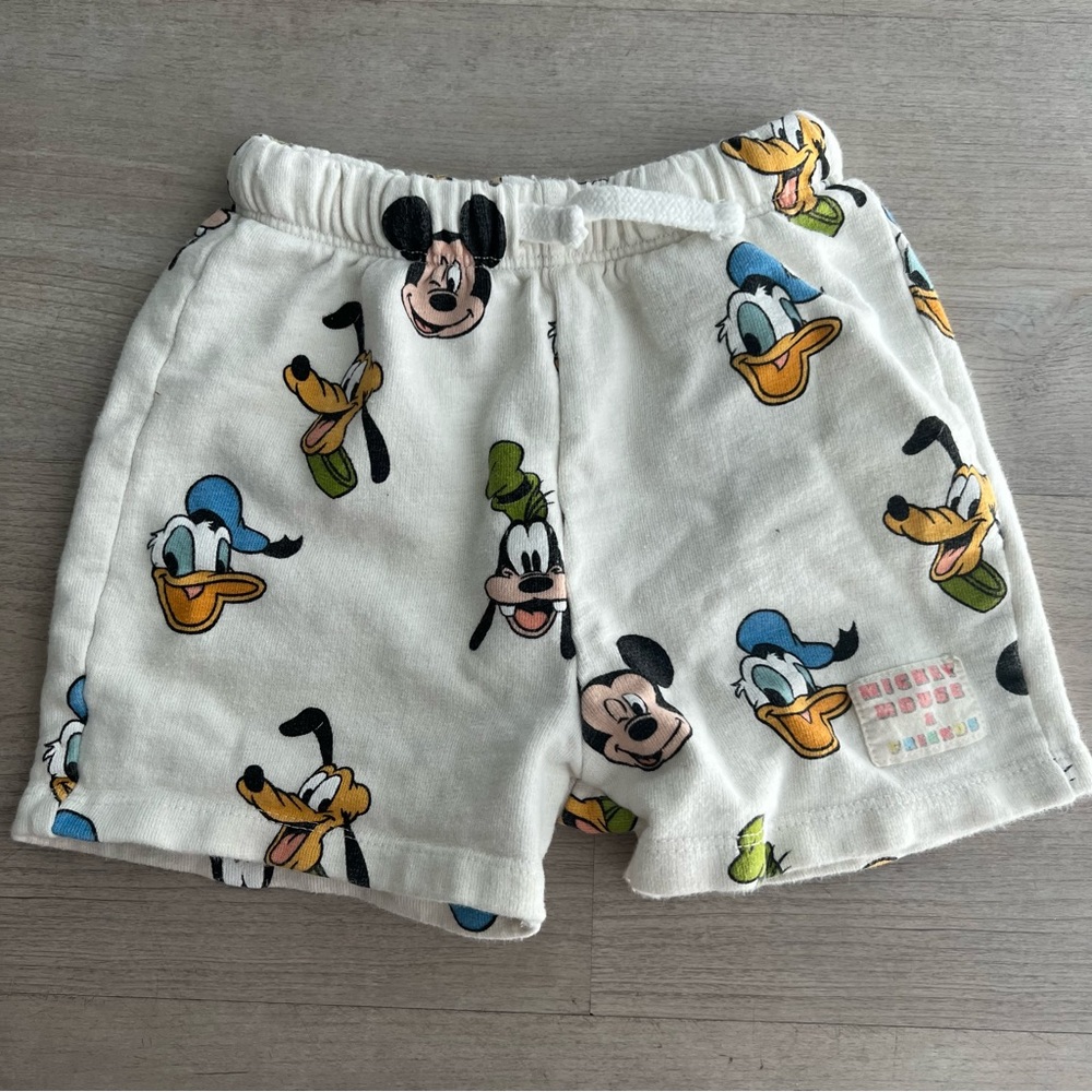 Zara shorts